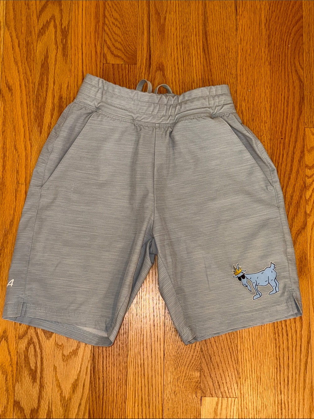 🐐 🇺🇸 GOAT USA Gray Athletic Shorts Youth medium